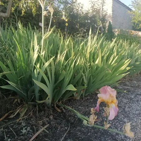 Prázdninový areál Rosas Da - Granja (Vila Real)