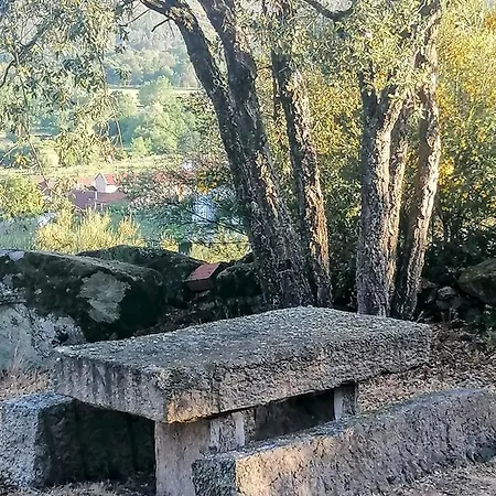 Rosas Da - * Granja (Vila Real)