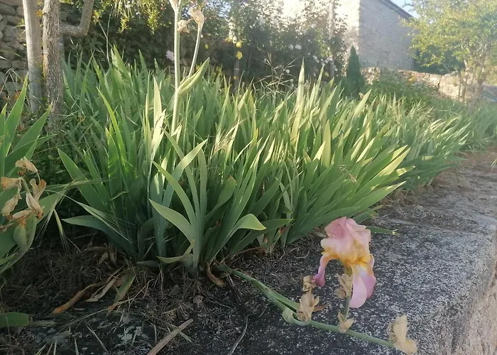 База отдыха Rosas Da - Granja (Vila Real)