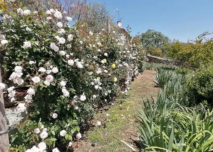 Ferienpark Rosas Da - Granja (Vila Real)